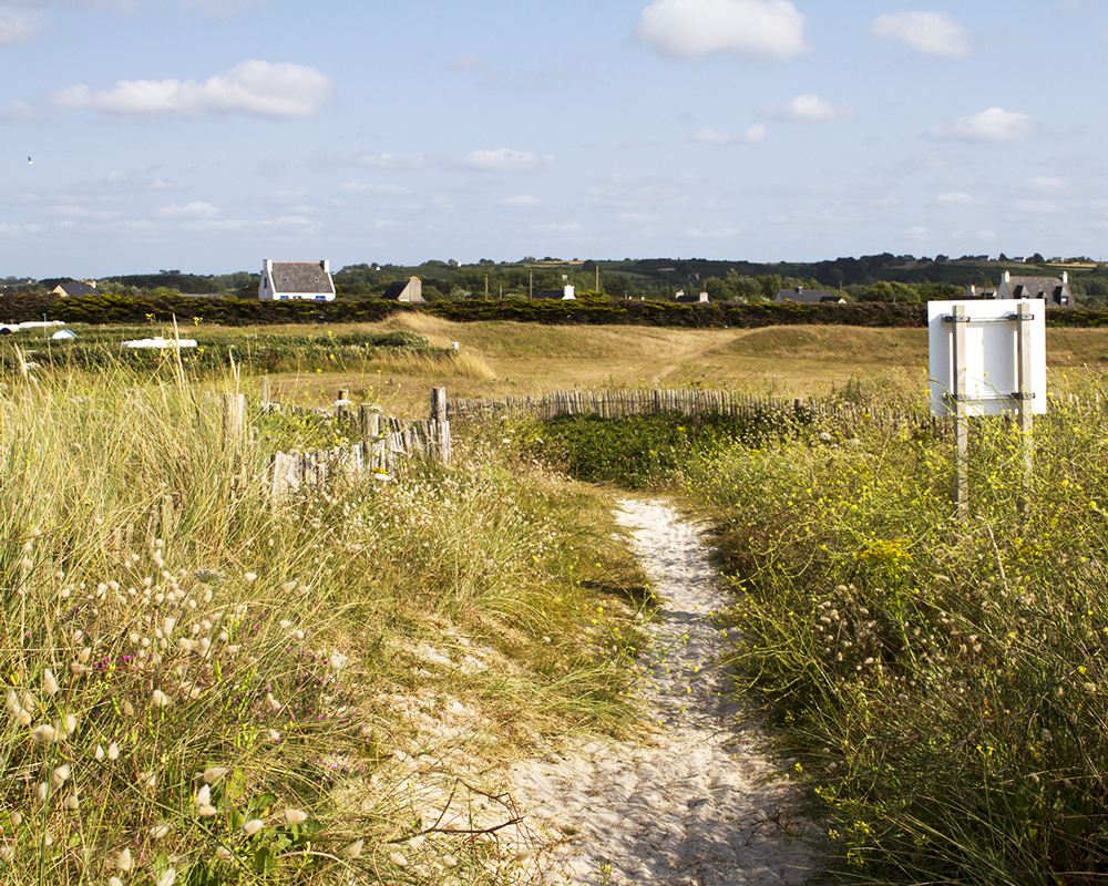 Sentier de sable dans les dunes du Curnic à Guissény