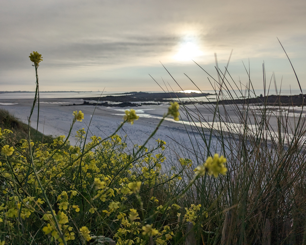 Plage du Curnic à Guissény dans le Finistère